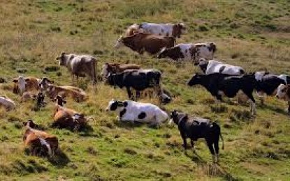 Produção de Leite no Rio Grande do Sul