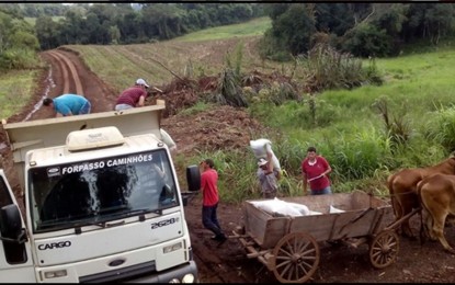 Vista Gaúcha, Forrageiras de Inverno Para Famílias Rurais