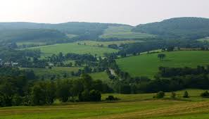 Produtores rurais são os maiores responsáveis pela preservação ambiental