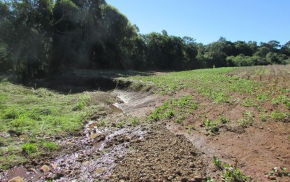 Barra do Guarita em Estado de Emergência