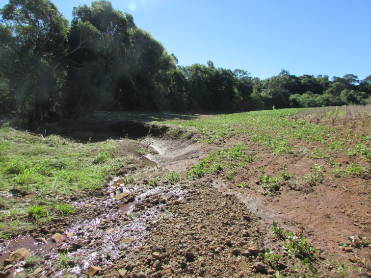Barra do Guarita em Estado de Emergência