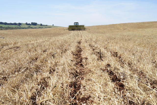 Importância da cobertura de solo no inverno