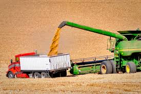 Conab prevê supersafra de 232 milhões de toneladas de grãos