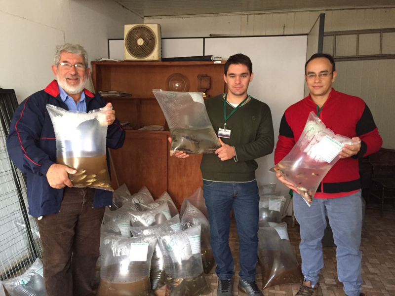 Redentora, Secretaria de Agricultura Realiza Entrega de Alevinos