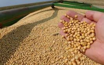 Cotação da soja registra maior alta no preço dos últimos dois meses