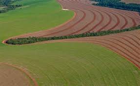 Previsão é de sol para os proximos dias na região Celeiro