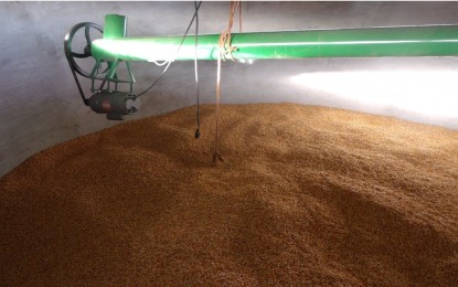 Agricultores investem na construção de silo para secagem e armazenamento de grão.