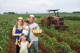 Novo Cadastro Nacional da Agricultura Familiar (CAF), Ira substituir a Declaração de Aptidão ao Pronaf (DAP).