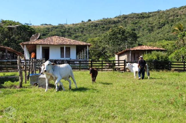 Agosto começa com temperaturas em elevação e tempo seco