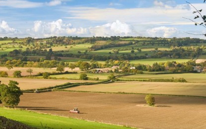 PRODUÇÃO AGRÍCOLA CONTRIBUI  COM A ECONOMIA DO PAÍS