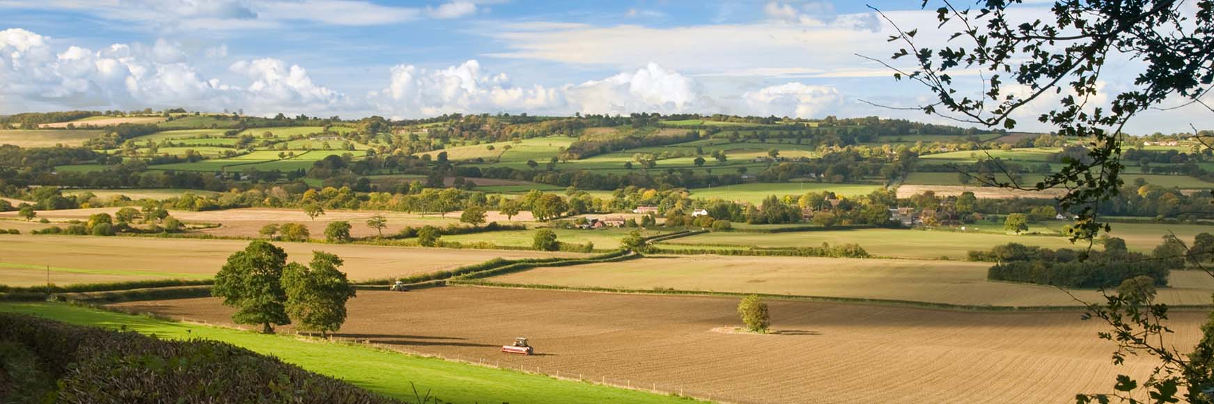 Lavouras são apenas 7,6% do Brasil, segundo a NASA