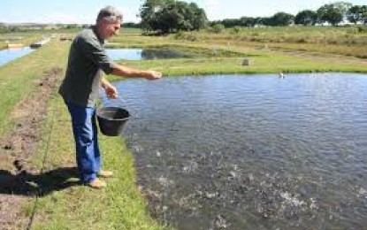 3º Dia Estadual do Peixe Acontecerá em Passo Fundo