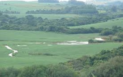 Plantio do trigo chega a 53% da área prevista para RS