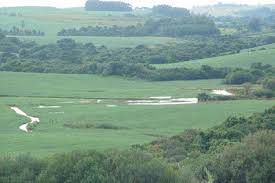 Plantio do trigo chega a 53% da área prevista para RS