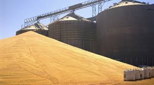 Oportunidade: cooperativas e associações podem enviar novas propostas para o PAA Formação de Estoques