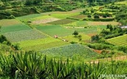 Agricultores contrataram R$ 137,2 bi para custear safra agrícola 2016/2017