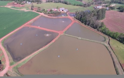 Tenente Portela, Associação de Piscicultores promove o 2º Jantar do Peixe