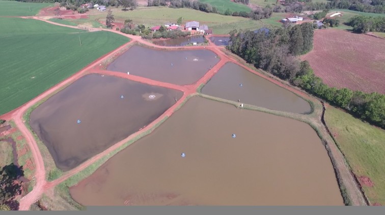 Tenente Portela, Associação de Piscicultores promove o 2º Jantar do Peixe