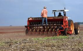 Plantio de culturas de inverno se aproxima do final no RS