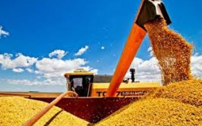 Brasil deve ultrapassar os EUA na produção de soja em dez anos
