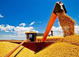 Brasil deve ultrapassar os EUA na produção de soja em dez anos
