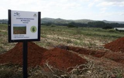 Sistemas integrados de produção aliado ao conhecimento proporciona mais rentabilidade