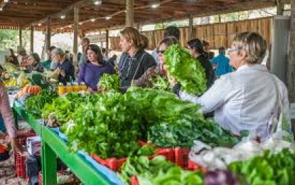 Cresce número de feiras e mercados especializados em alimentos orgânicos