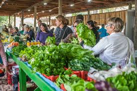 Cresce número de feiras e mercados especializados em alimentos orgânicos