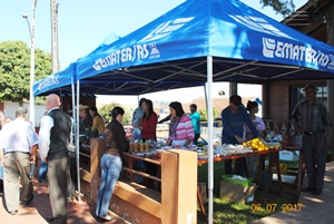 Vista Gaúcha, Feira do produtor rural teve inicio no dia 06 de julho.