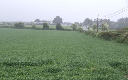 Mês de agosto faz frio forte no sul