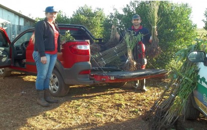 Fruticultura é incentivada em Três Passos