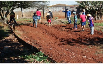 Redentora, Emater executa projeto de horta no Cras