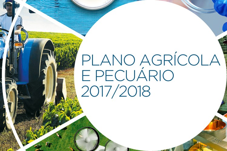 Começa na segunda-feira liberação dos recursos para financiamento da safra