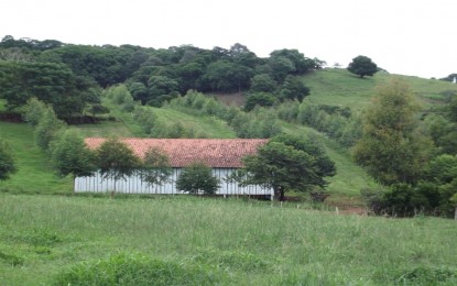 Áreas financiadas pelo Programa Agricultura de Baixo Carbono crescem quase 98% de julho a setembro