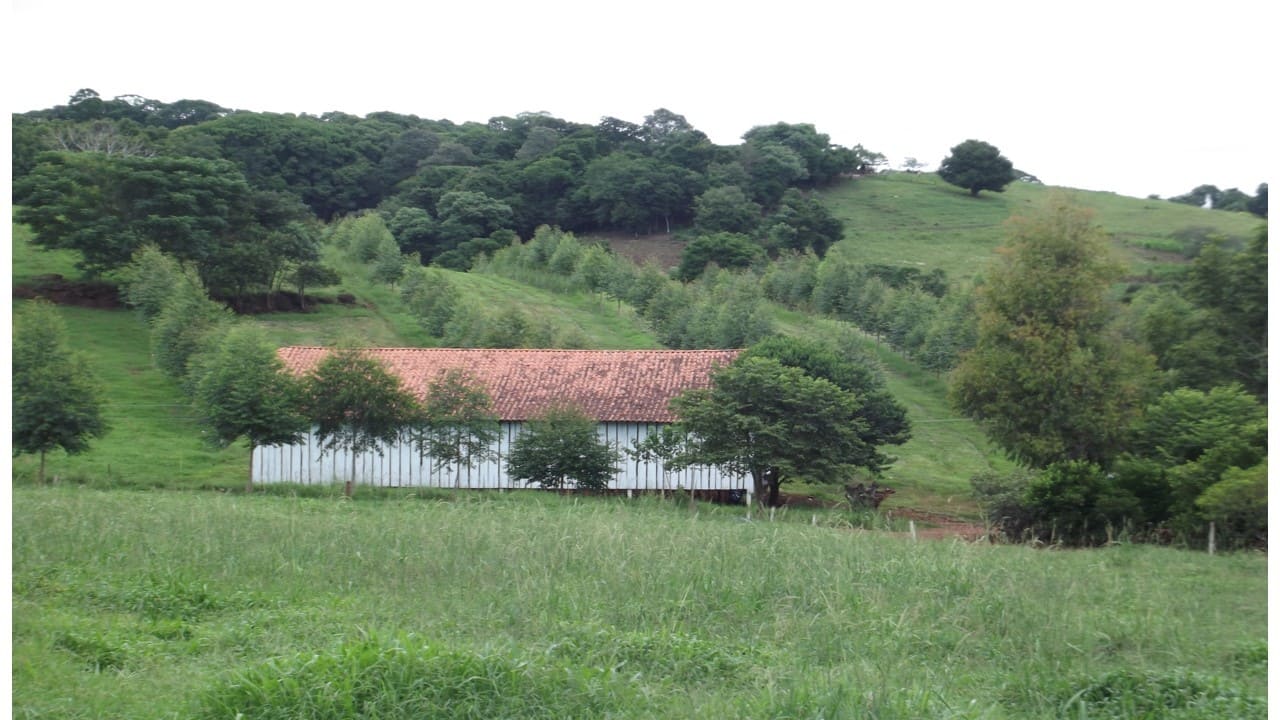 Áreas financiadas pelo Programa Agricultura de Baixo Carbono crescem quase 98% de julho a setembro