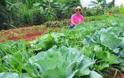 Oportunidade para novas redes de agroecologia