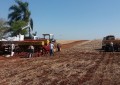 Cresol Humaitá, acompanha plantio de milho na região