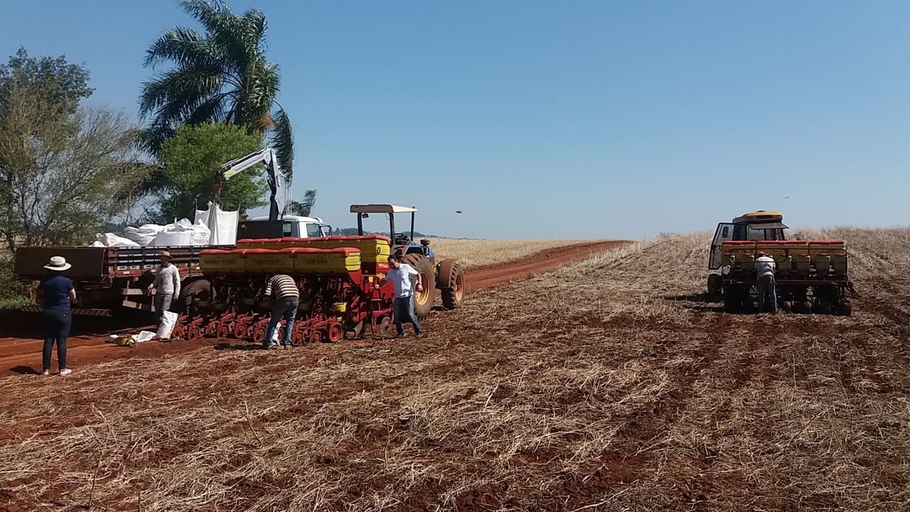 Cresol Humaitá, acompanha plantio de milho na região