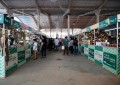 Vendas da agricultura familiar crescem 14,8% no primeiro fim de semana da Expointer