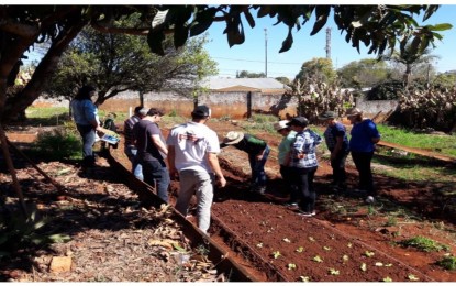 Redentora, curso sobre horta, realiza atividade pratica com manejo e plantio