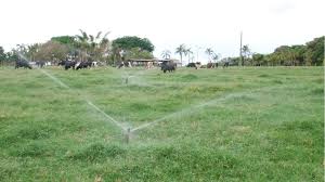 Laboratório usa métodos inéditos no Brasil para analisar infiltração da água no solo