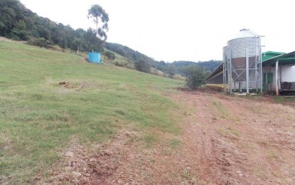 Propriedade a venda em Vista Gaúcha