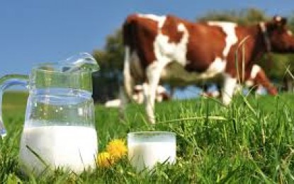 Setor de lácteos começa a registrar reação