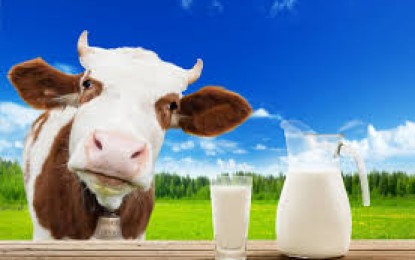 Suspensão de decreto para importação de leite em pó assegura competitividade para cadeia produtiva gaúcha