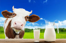 Suspensão de decreto para importação de leite em pó assegura competitividade para cadeia produtiva gaúcha