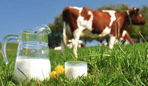 Mercado do leite: Possibilidade de cota para importação de leite do Uruguai