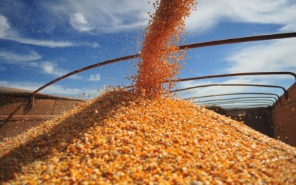 Preços do milho devem melhorar em 2018, diz consultor