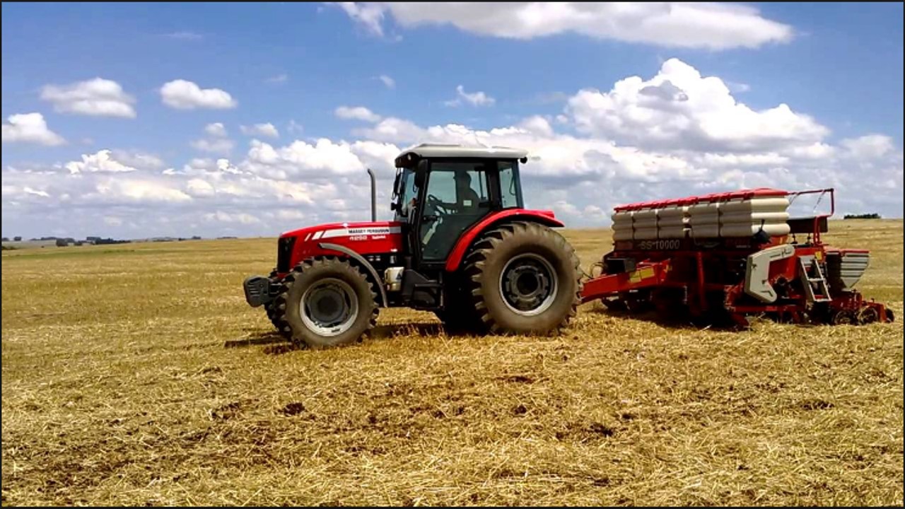 Projeto regional avalia cultura do sorgo como alternativa para segunda safra