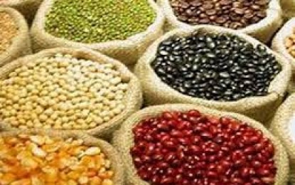 Mapa lança Painel Brasileiro de Sementes  Transparência