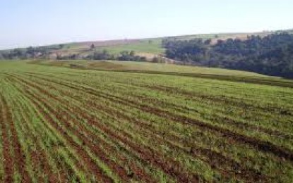 Diagnóstico da lavoura evita problemas de compactação do solo